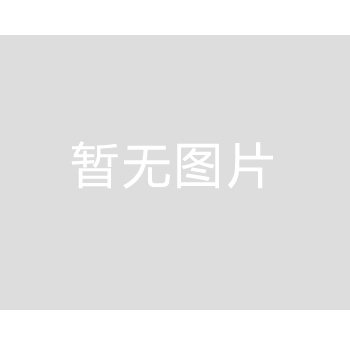 确保高压油泵保持稳定性能的基本原则 